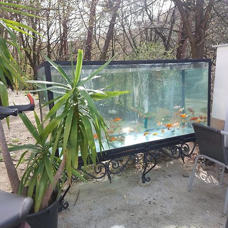 קרמס אן דר דונאו Gaestehaus Coco מראה חיצוני תמונה