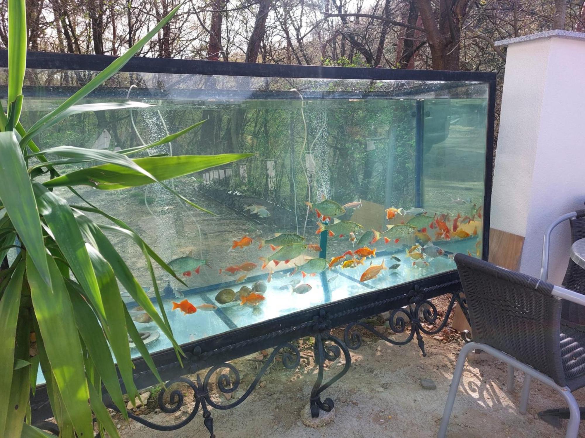 קרמס אן דר דונאו Gaestehaus Coco מראה חיצוני תמונה